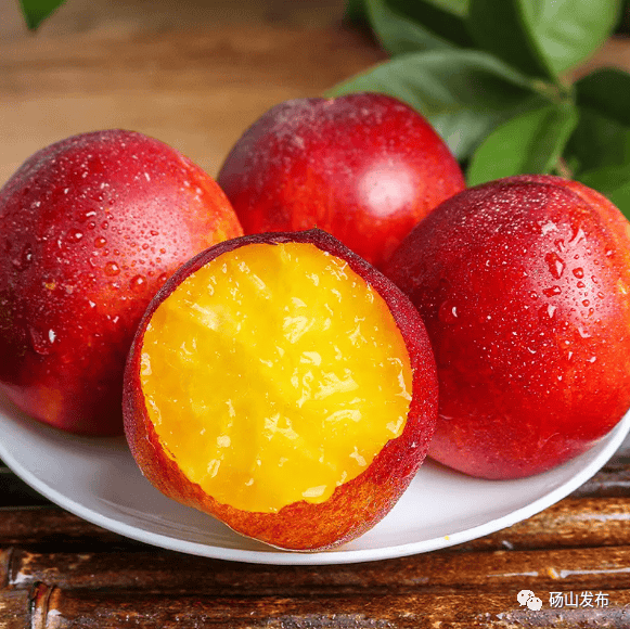 油桃04葡萄被人们视为珍果,被誉为世界四大水果之首,它不但营养丰富