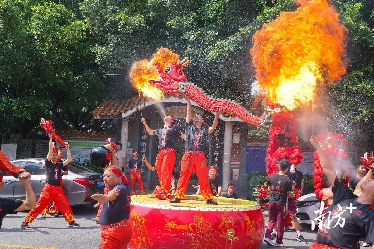 长洲醉龙舞:一场跨越时空的文化传承