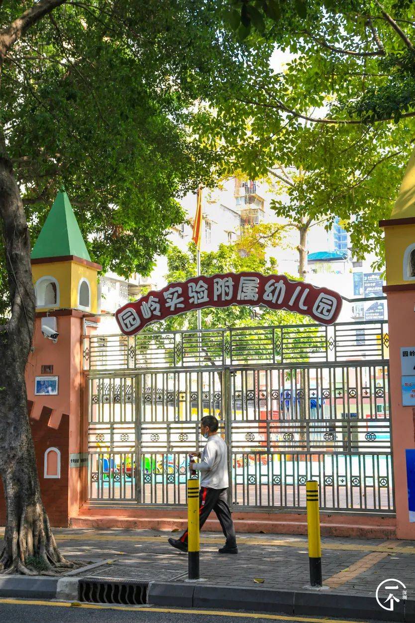 他们大多在园岭小学,园岭外国语小学,园岭实验小学,红岭中学上学.