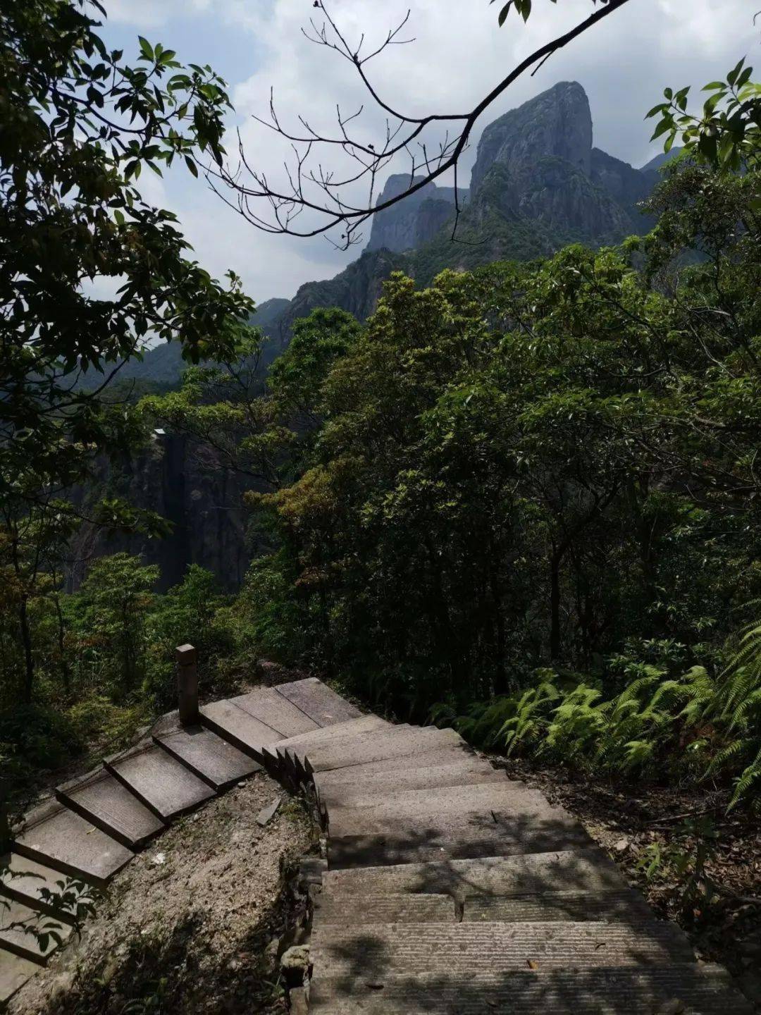 【云溪山人游记】雁山桐花开(一)灵岩_莲花洞_谷口_旅游