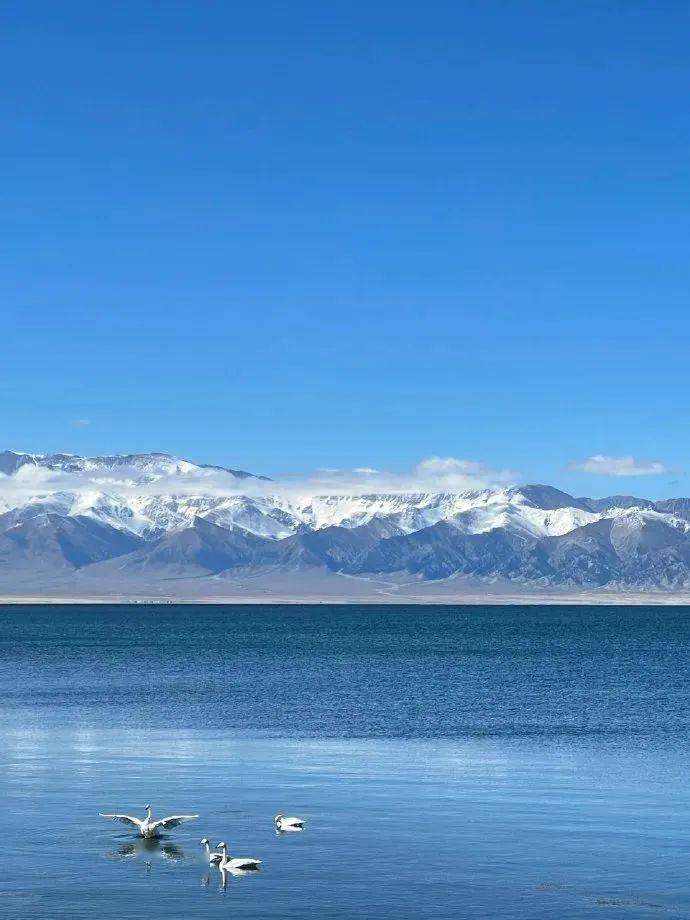 10 那拉提-赛里木湖-阿克塔斯草原-恰西画卷-果子沟大桥-八卦城