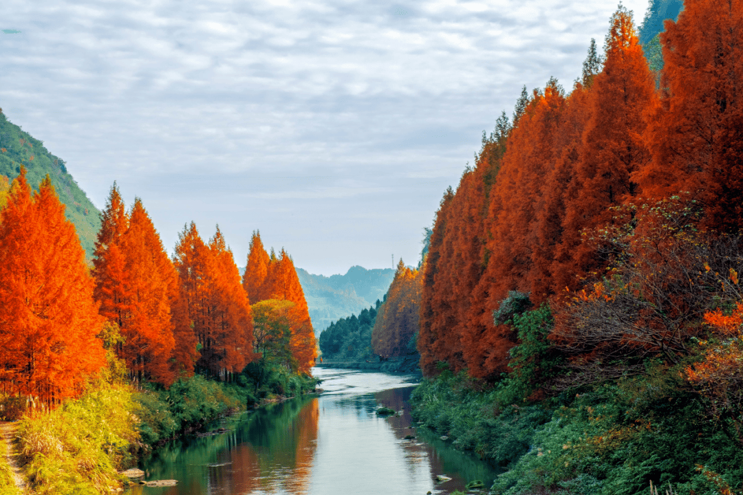 湘西州以高品质生态环境擦亮最美"底色"