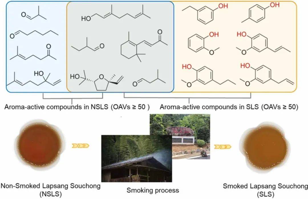 烟熏工艺对正山小种红茶香气的贡献