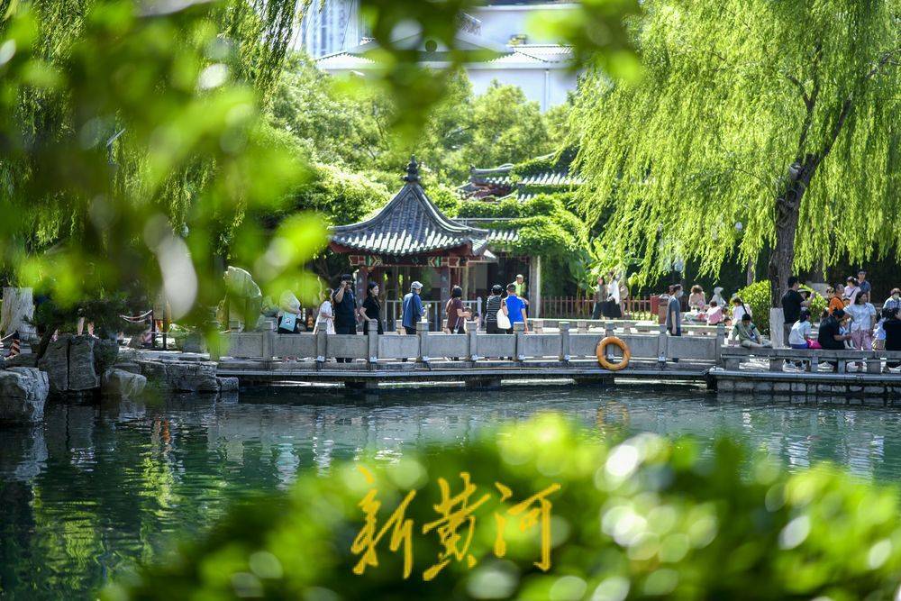 泉城迎来凉爽好天气 游客观泉亲泉感受夏日清风