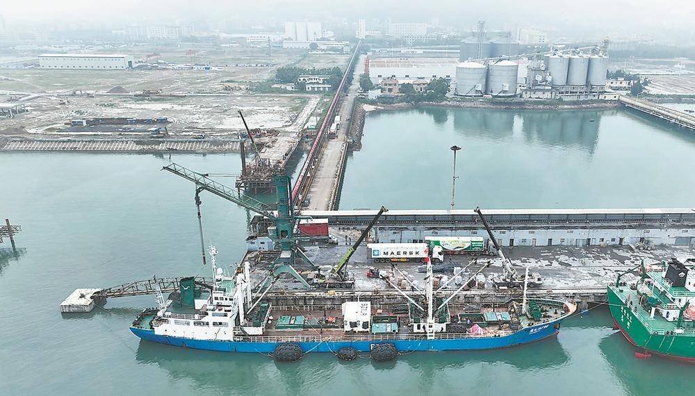 中印尼"两国双园"迎来今年首批远洋渔获