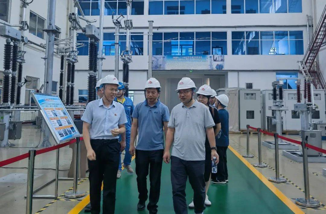 "双行"活动之武汉大学电气与自动化学院专家到泰开隔离对接交流