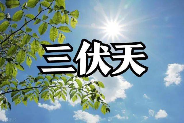 2024年三伏天时间表已出炉:今年三伏天哪天入伏,哪天出伏?是凉还是热?