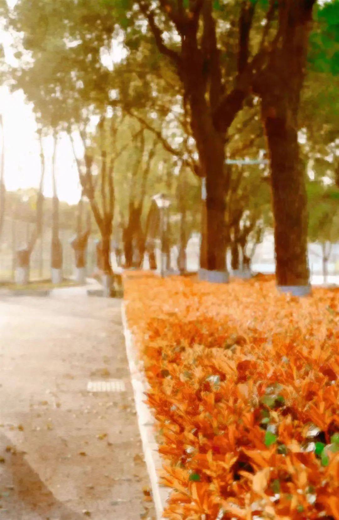 校园_笔触_水彩