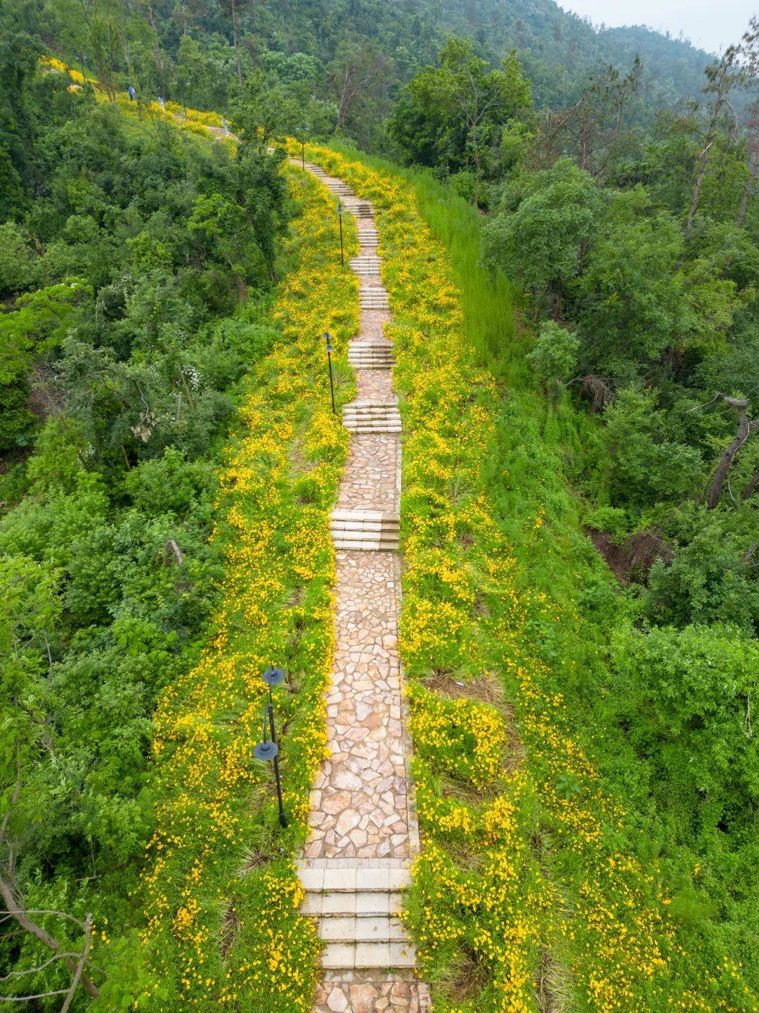 襄阳_方山_步道