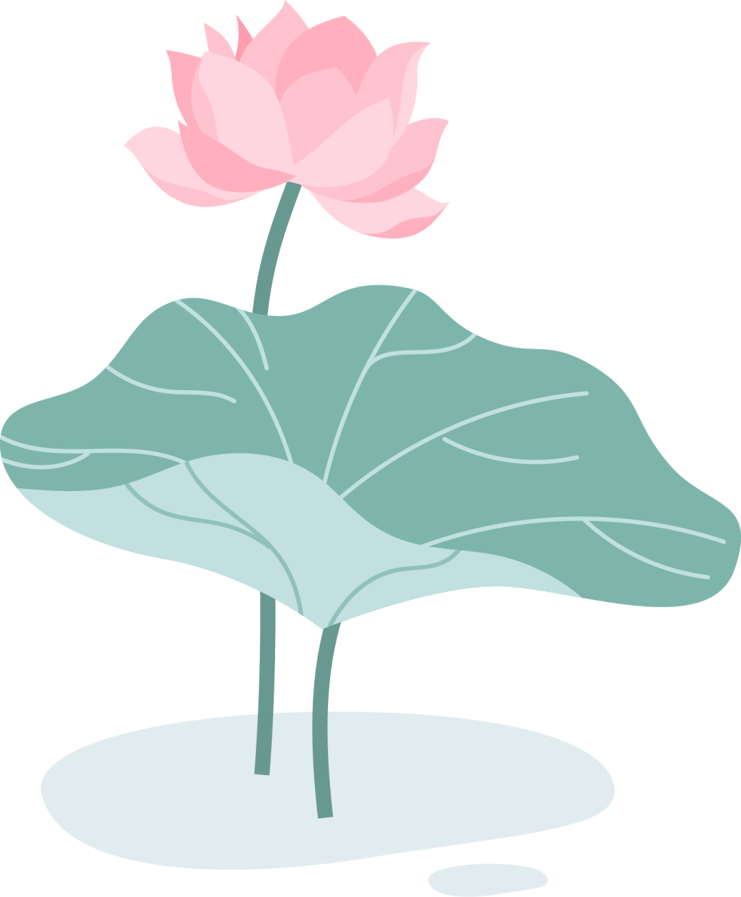 现实版"莫奈花园"就在