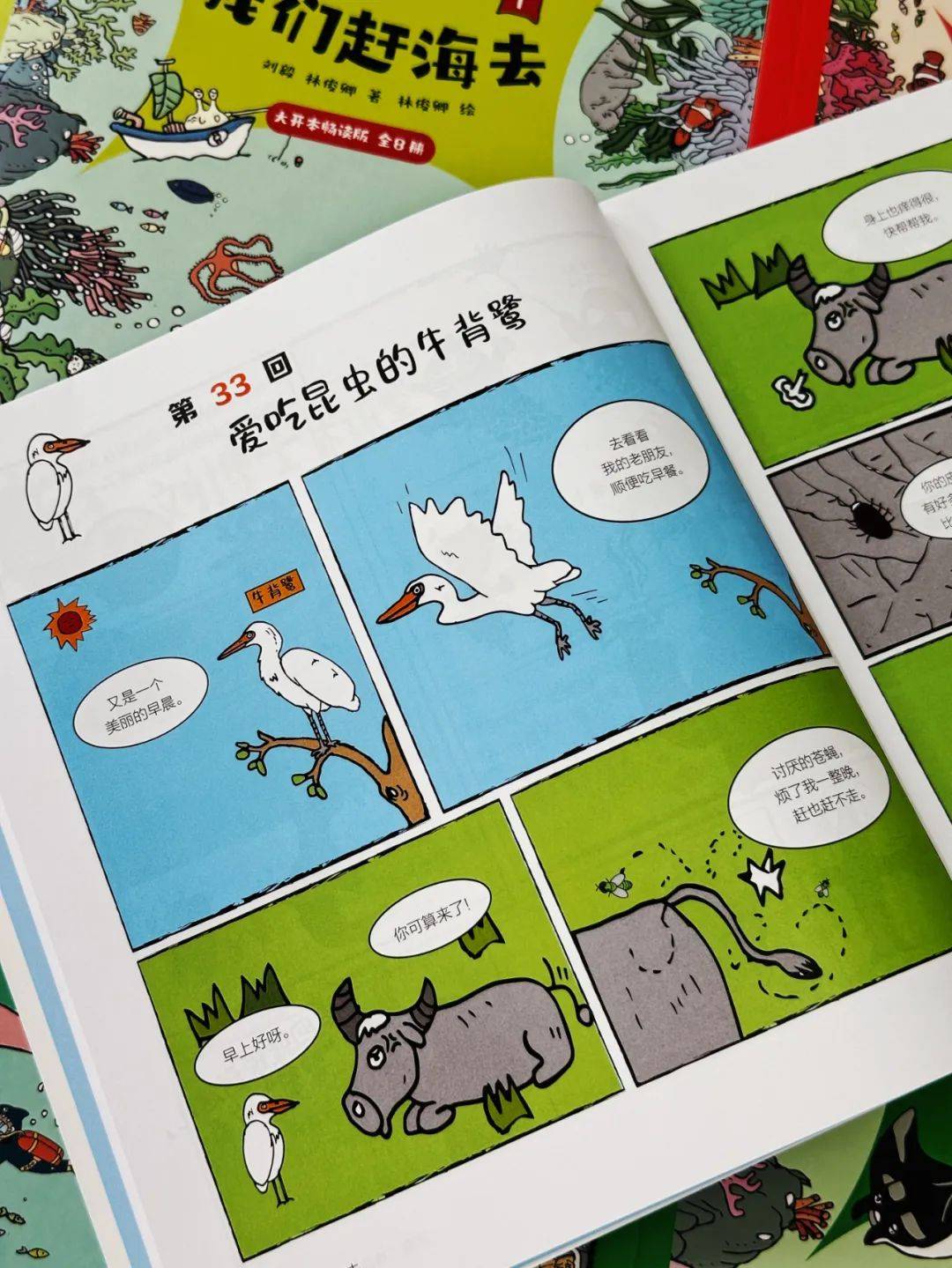火爆全网的"赶海去"上新啦,这次还是大开本礼盒装!