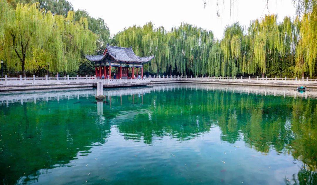 摄影:陈彦 2023年9月于珍珠泉此外,还有黑虎泉,珍珠泉等众多名泉,它们