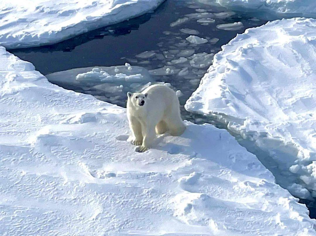 我在北冰洋当"浪姐",月薪13万_刘一凡_工作_挪威