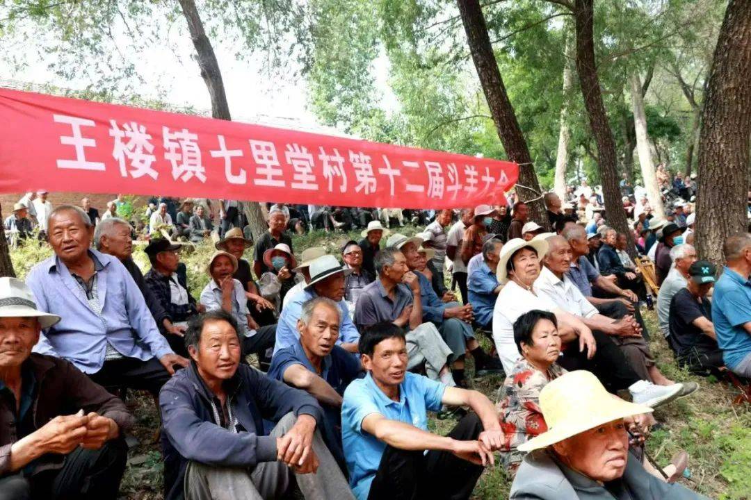 范县王楼镇第十二届斗羊大赛好戏"开锣"