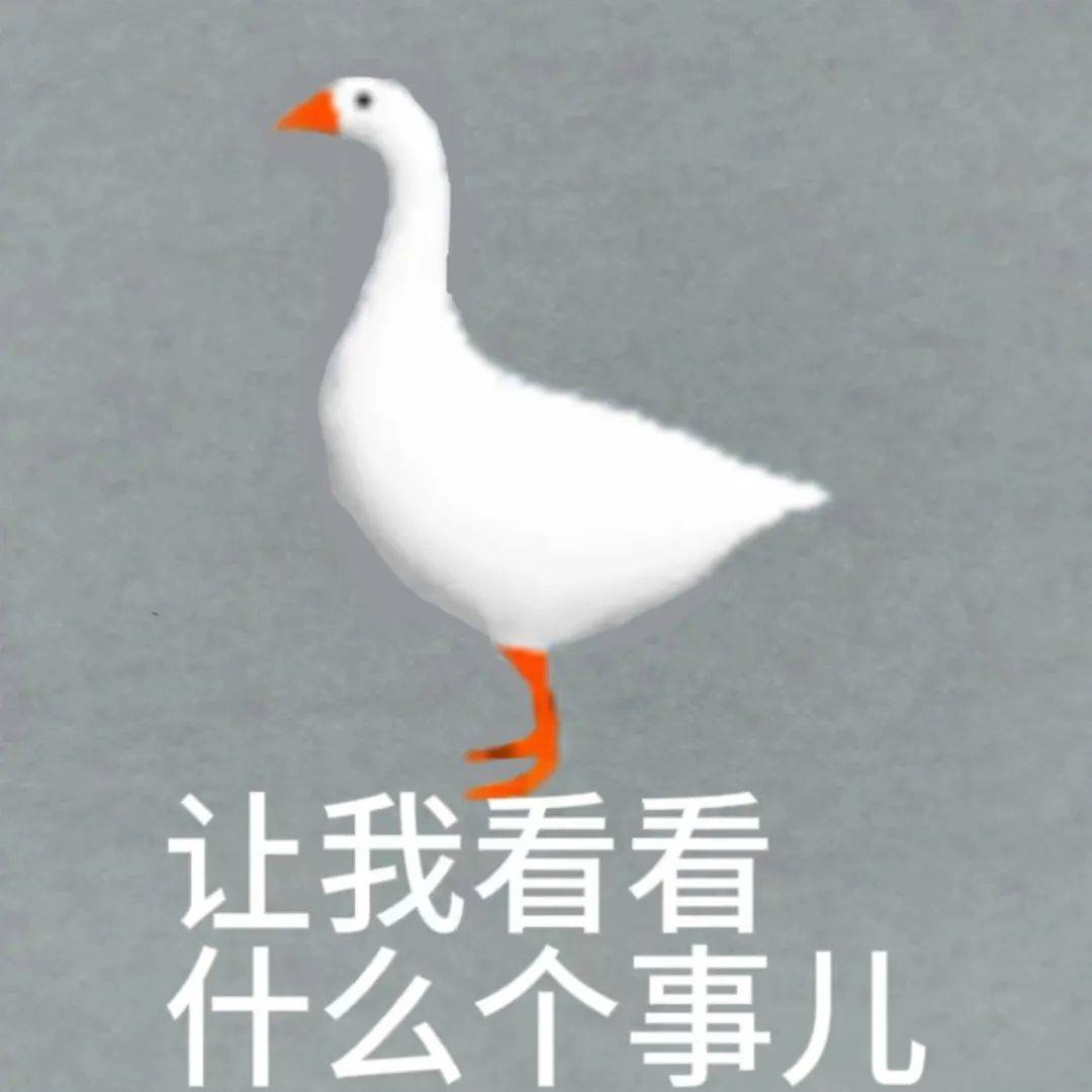 速看,抓大鹅攻略!_成功_图片_美食