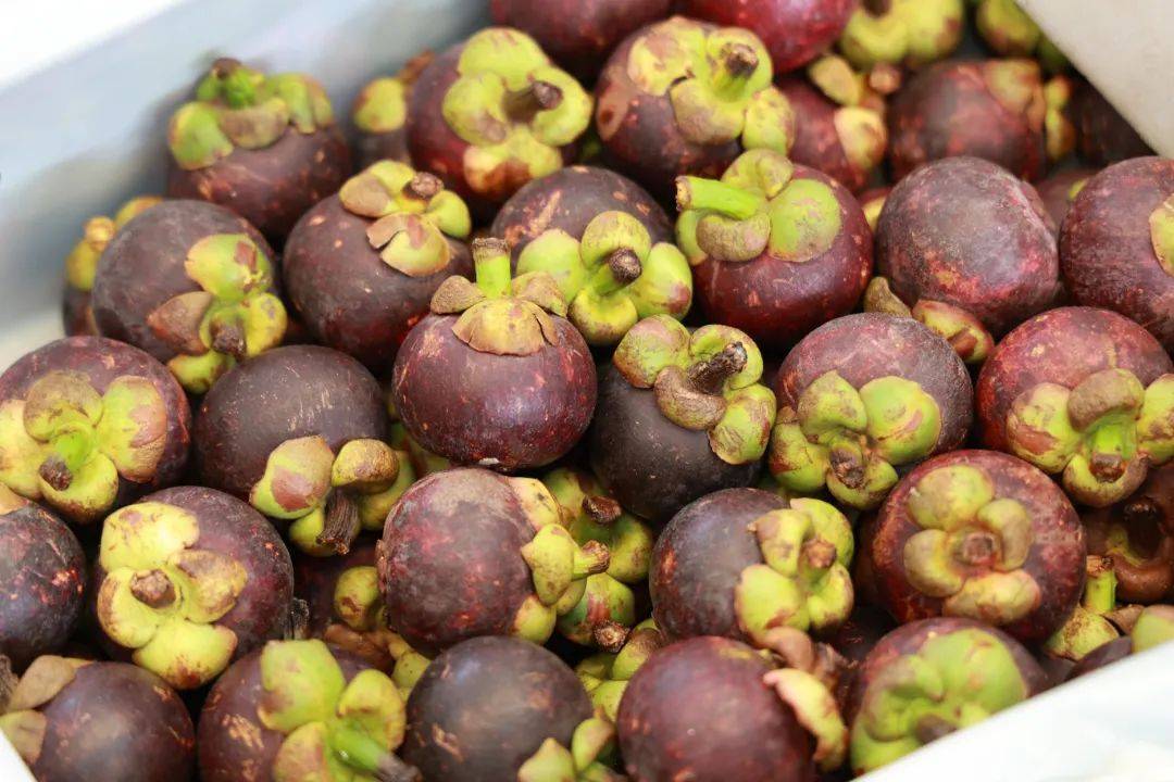 樱桃,枇杷,杨梅.夏季时令水果"甜蜜"上市,快来装满你的"果篮子"