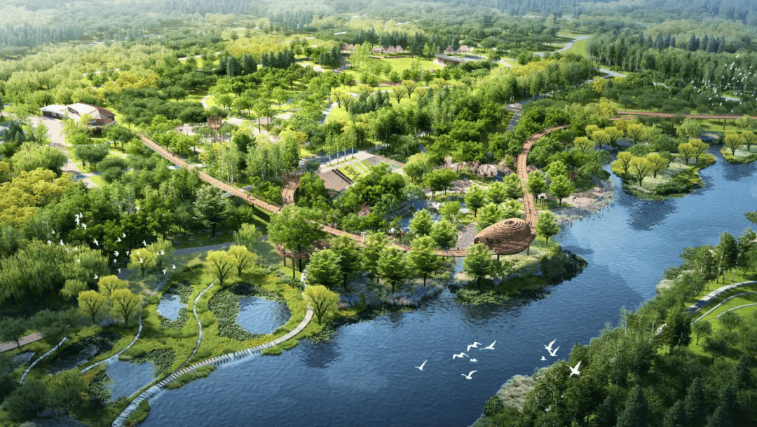 通州区域90000亩的潮白河国家森林公园加速建设!