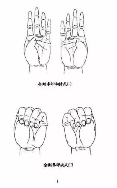 金刚印--固握法_婴儿_正气_人体