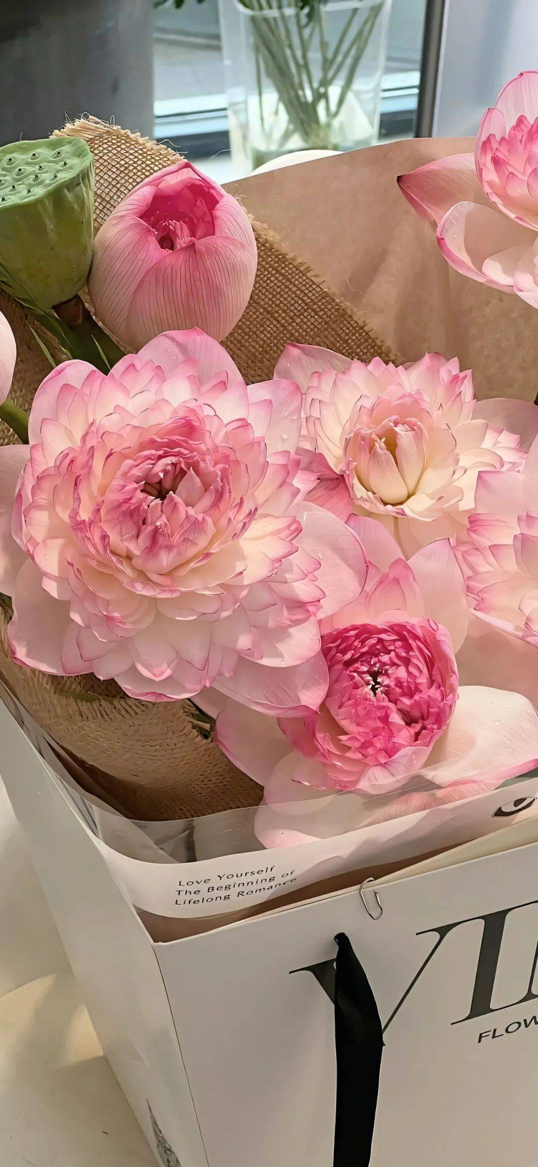 壁纸 | ins风高级感手机壁纸