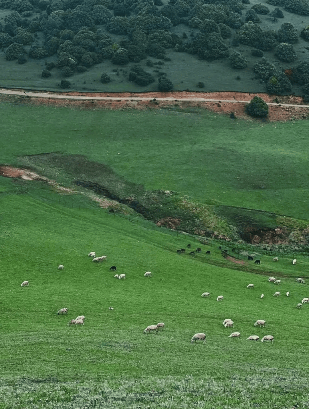 【甜蜜生活在宾川】藏在宾川的"阿勒泰",不妨来一趟!