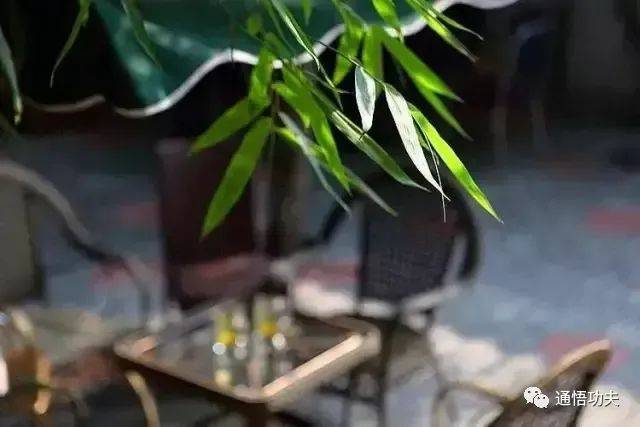不觅仙方觅睡方|养生之道不迷茫_睡眠_古人_影响