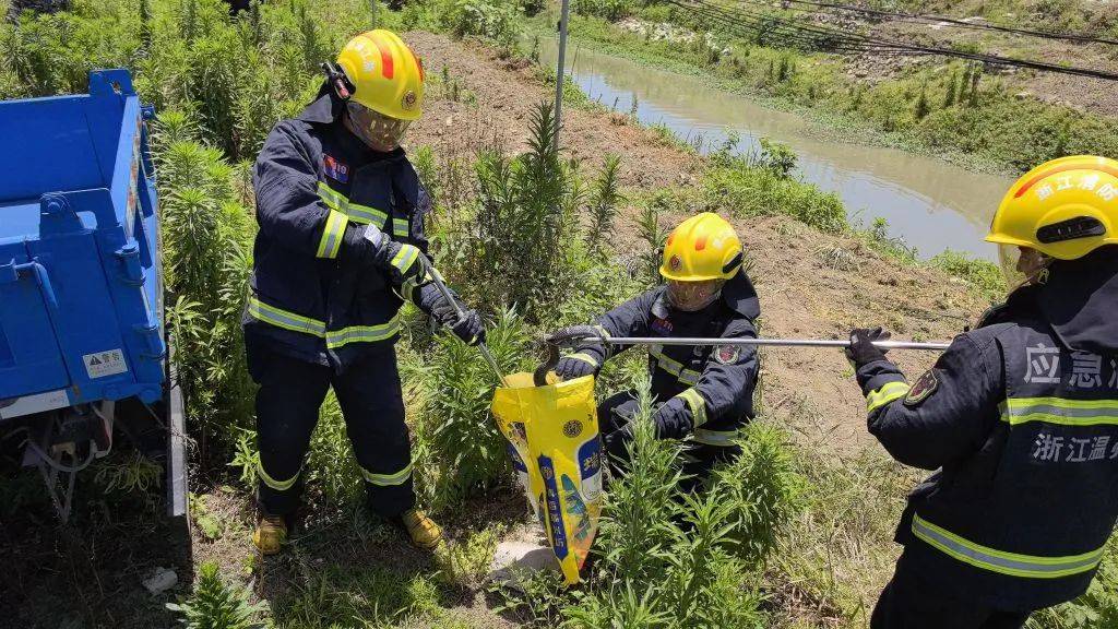 紧急预警!温州已有20多人被咬