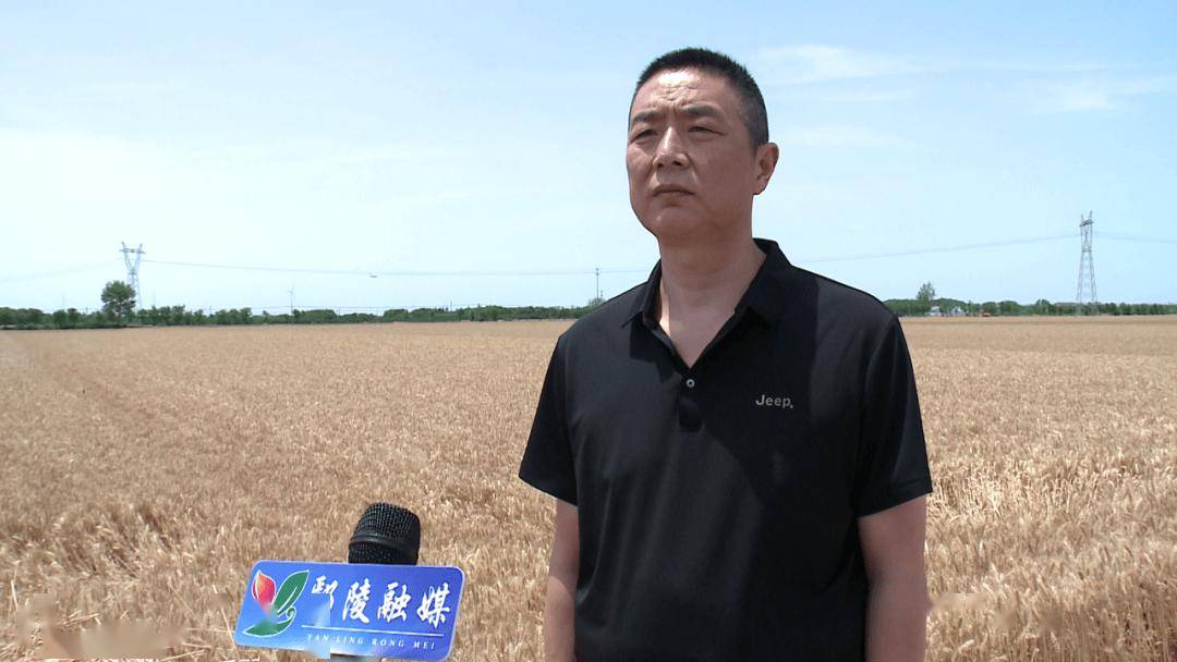 鄢陵县全力以赴备战"三夏"