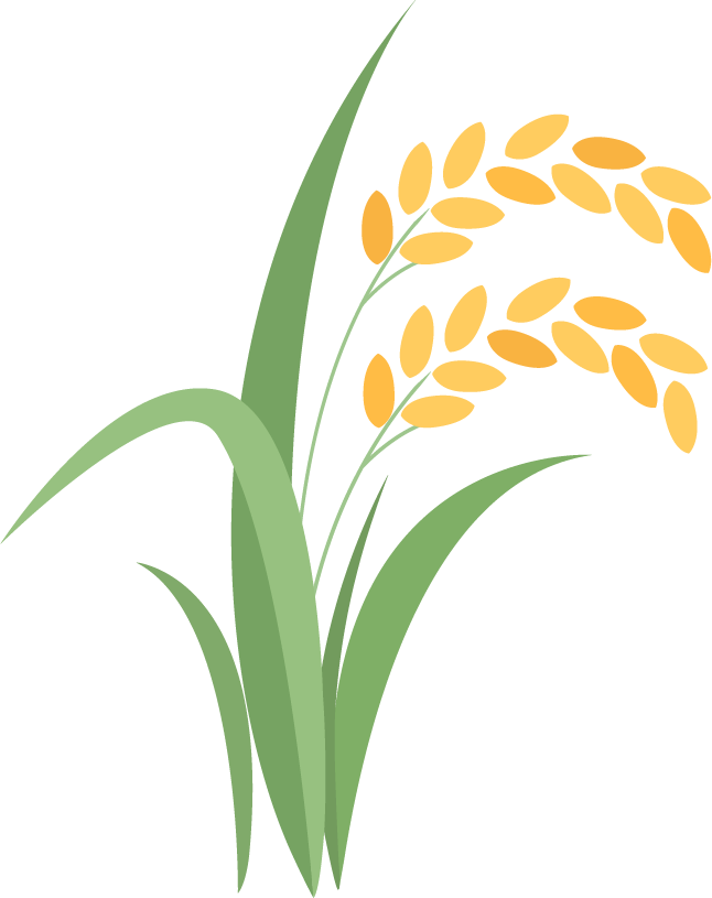 给粮仓吹"空调",充氮气,江苏大力提升绿色储粮水平