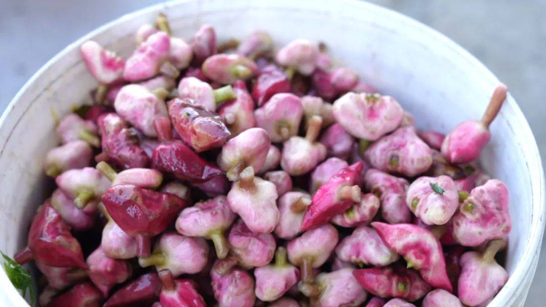 南湖红菱,你吃过么?