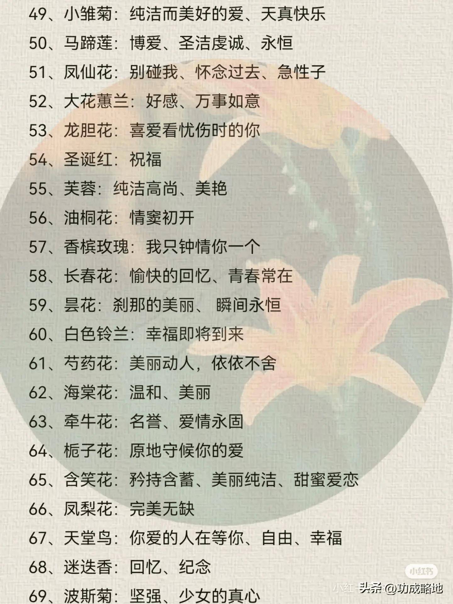 10000种花语加图片图片