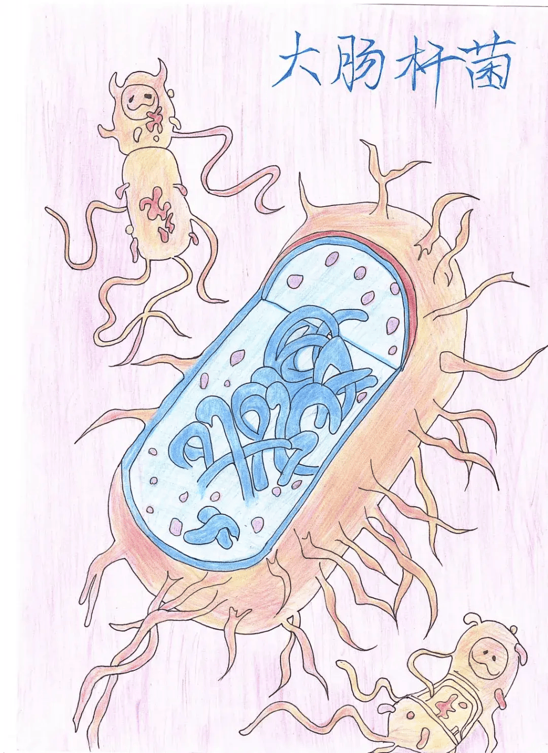 山西医科大学汾阳学院举办第二届病原生物学形态绘图大赛