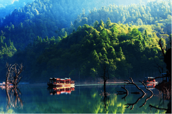 九龙峰发源于福建省光泽县境内的凤形山北麓资溪县九龙湖景区水不在深