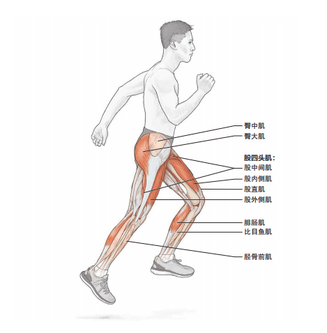5个动作训练跑步爆发力!有图