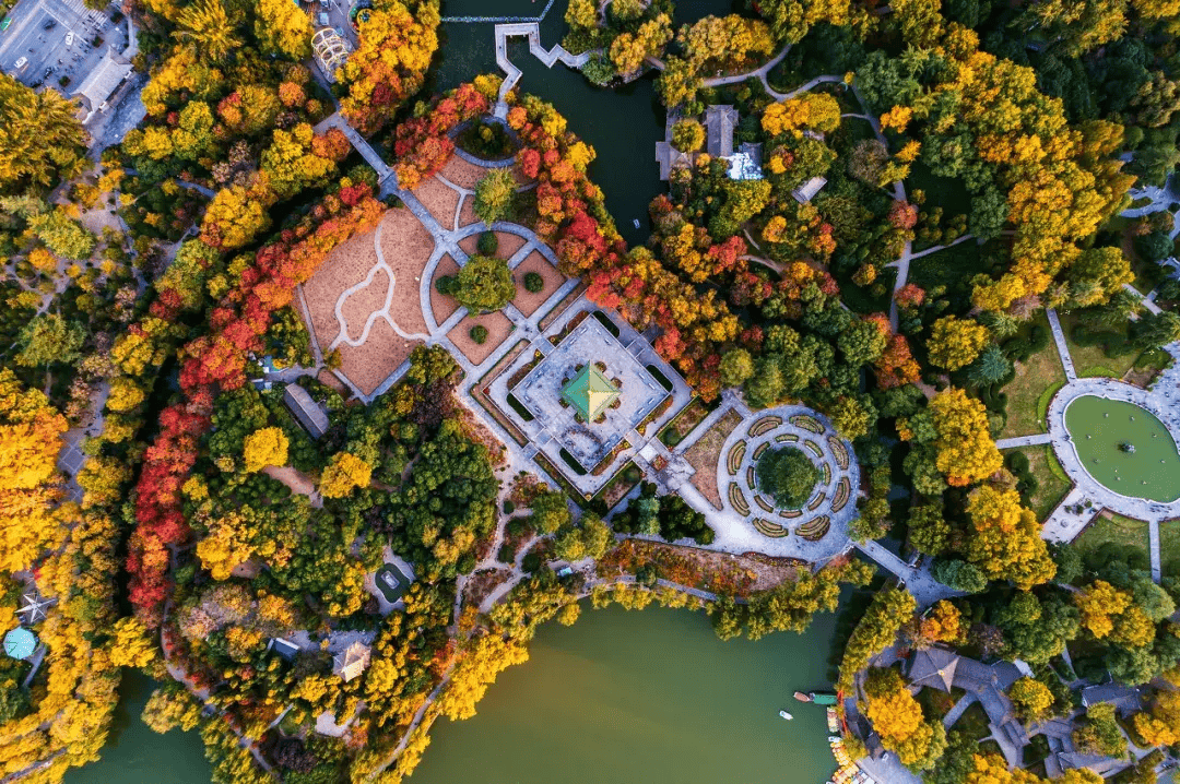 秋天的大唐芙蓉园,不仅有金黄的树叶,还有火红的枫叶,它们在微风中