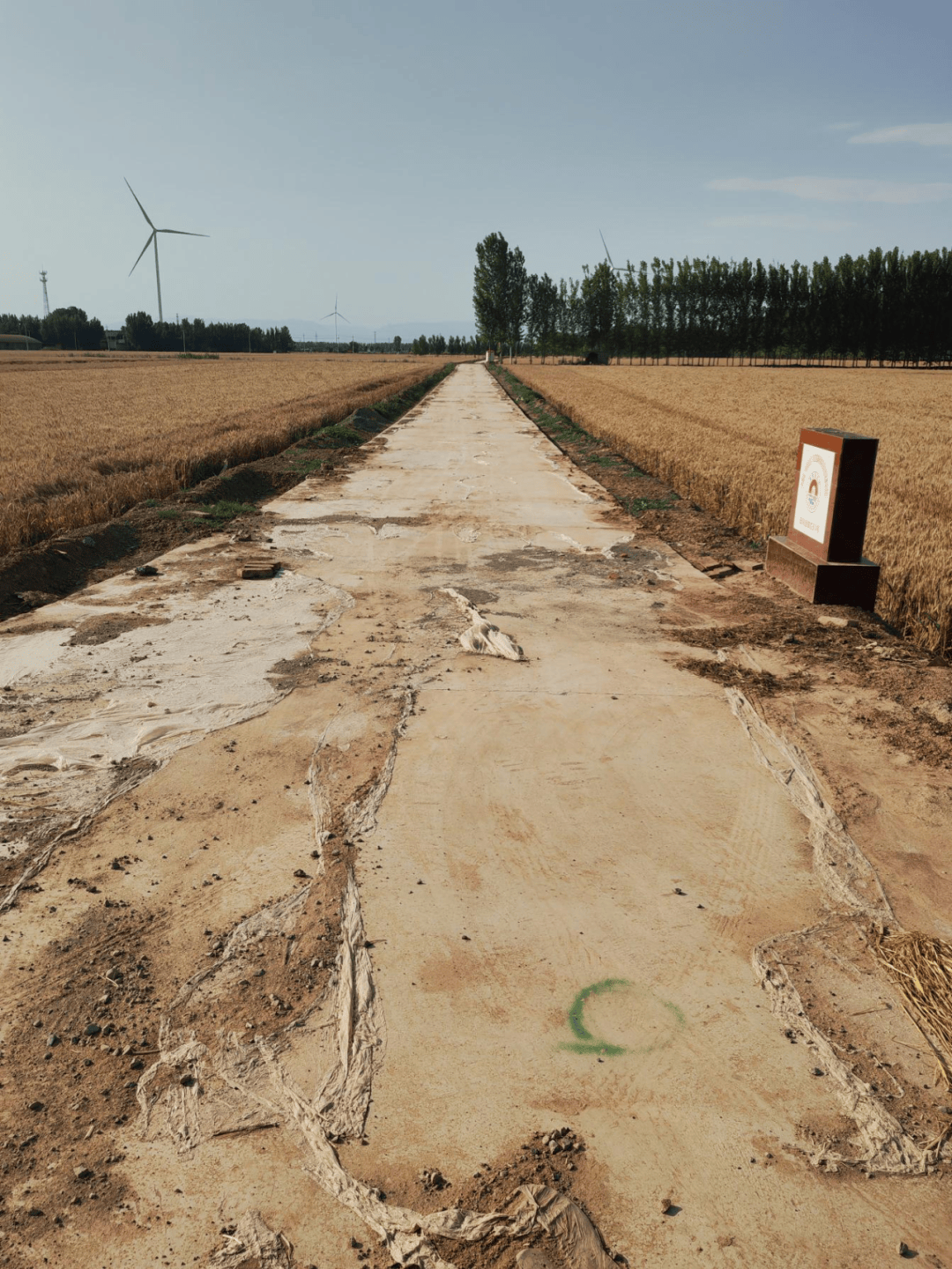 【结对共建帮建】获嘉县5月份"结对共建帮建"工作动态_活动_中和镇_徐