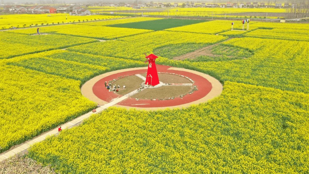 Kaiyun 开云来荆州“村游”吧！线路图已绘好→(图6)