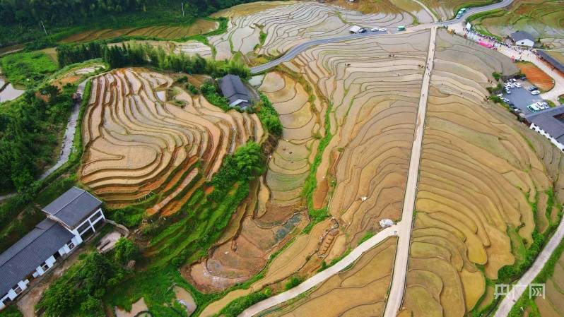 江西城乡 差距仍悬 农耕转型相关图片2