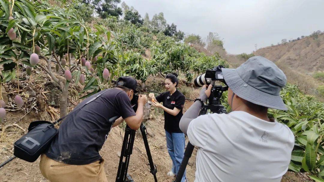 《消费主张》摄制组来到攀枝花市仁和区,分别在大龙潭乡混撒拉村,拉鲊