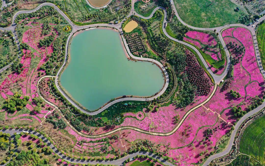 弥勒这片石漠荒山变4a景区!生态经济双丰收