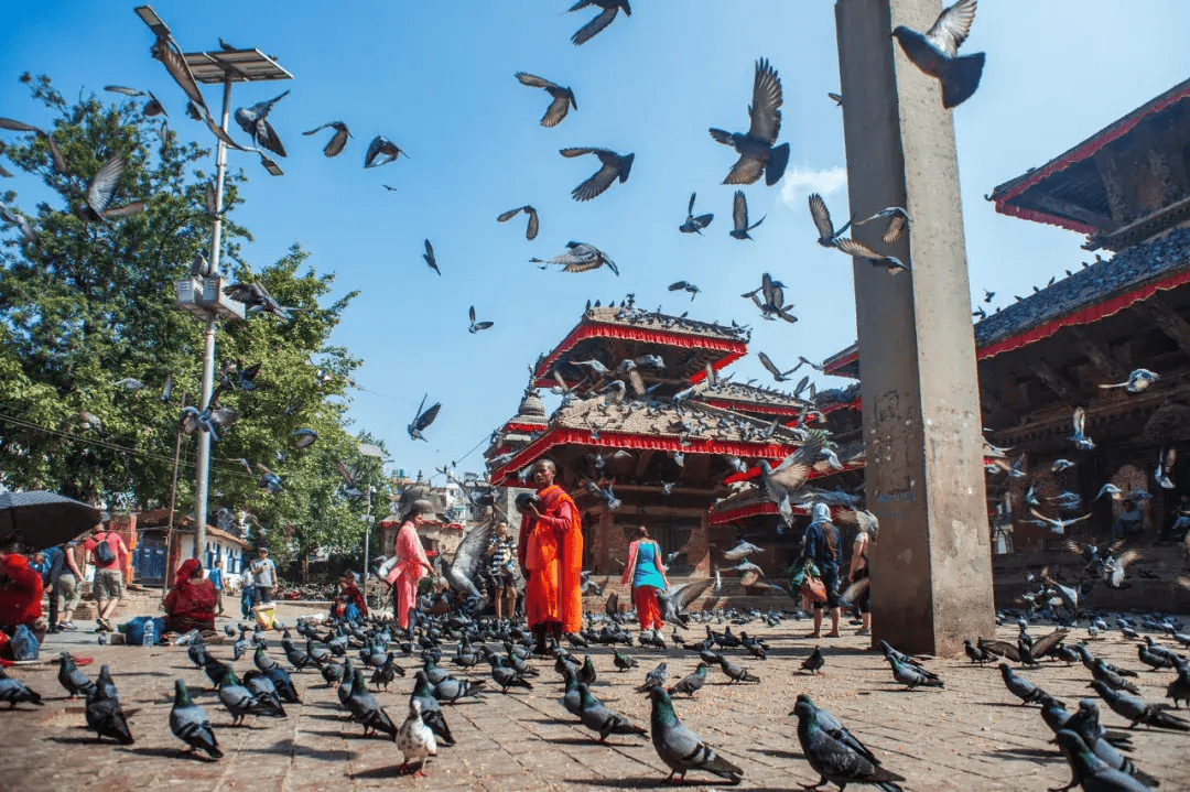 世界最"穷"国家,月薪1000算富有,首都遍地泥坑,猴子满城跑