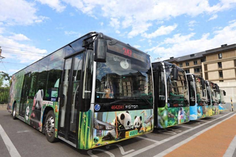 347路动物主题公交车升级,儿童节上路!