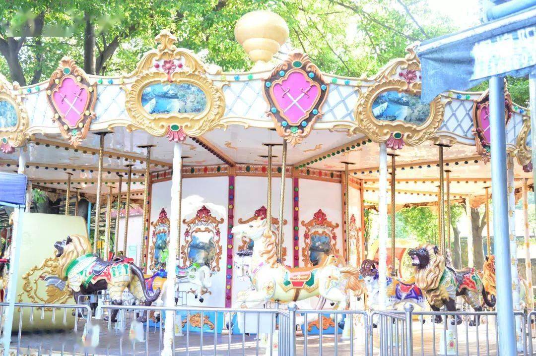 我叫韶关,这是我的童年照!