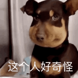 微信实用表情包:这个人好奇怪!