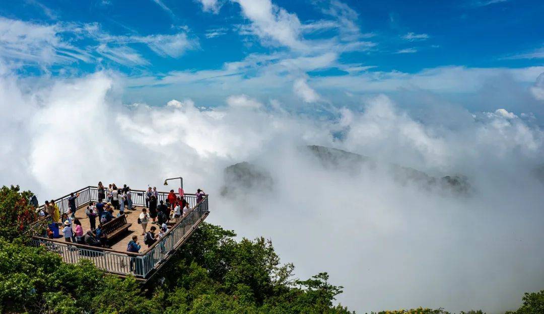 汉中十大旅游景点排名图片