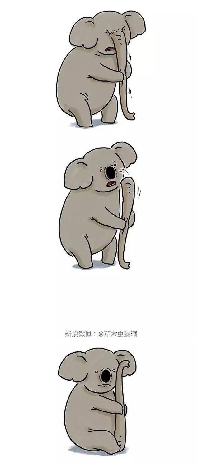 考拉是大象的亲戚 -- 豆腐乳就是豆腐做的乳呀 -- 兔子为嫦娥付出了