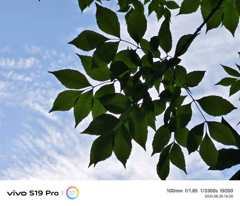 轻薄时尚还有长续航 vivo s19 pro体验评测:这算把