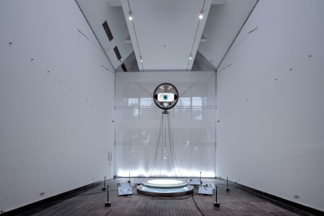 毕业季 | 「独树一帜」视觉艺术设计学院2024届本科