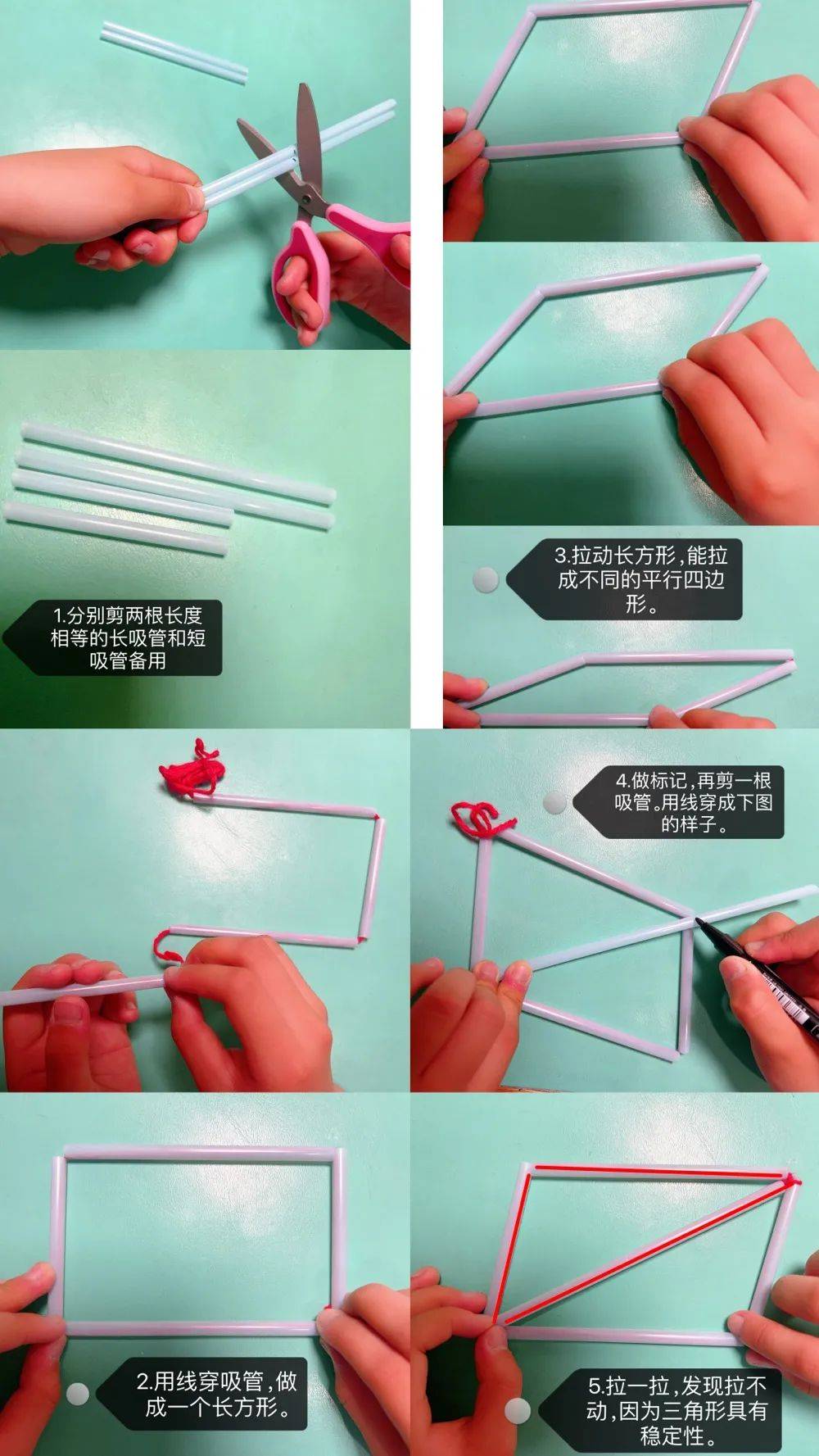 【双减】缤纷世界 "数"我精彩 | 数学特色作业展