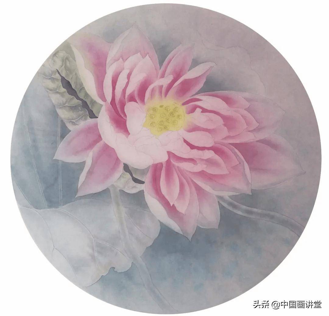 学画工笔荷花扇面,清凉解暑