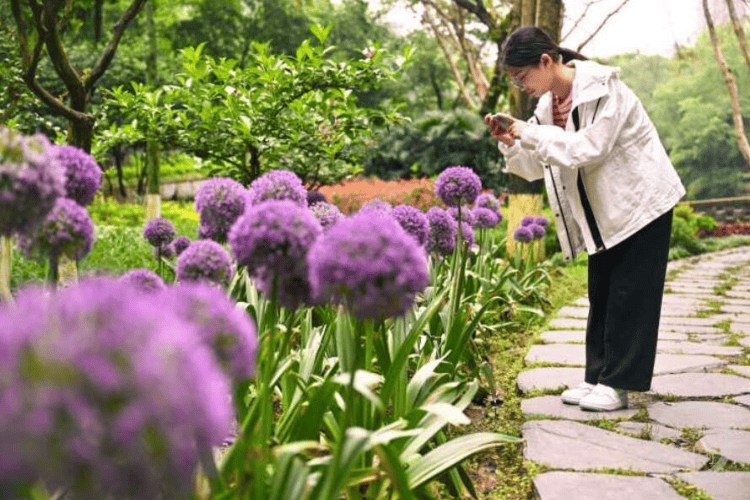 🌸【2024澳门今天晚上开什么生肖】🌸_独家调查！数据公布！这个城市的人，幸福感最强！  第4张